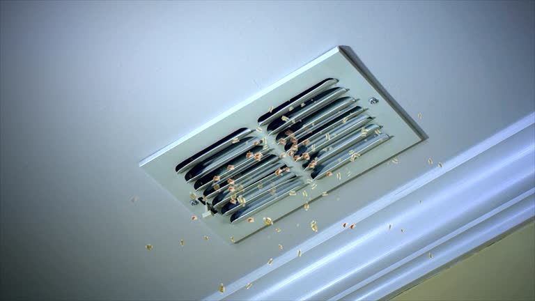 Best Professional Duct Cleaning Services  in Linda, CA
