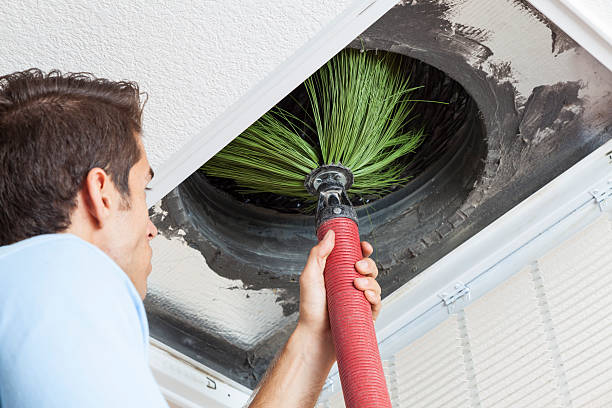 Best Affordable Duct Cleaning Services  in Linda, CA